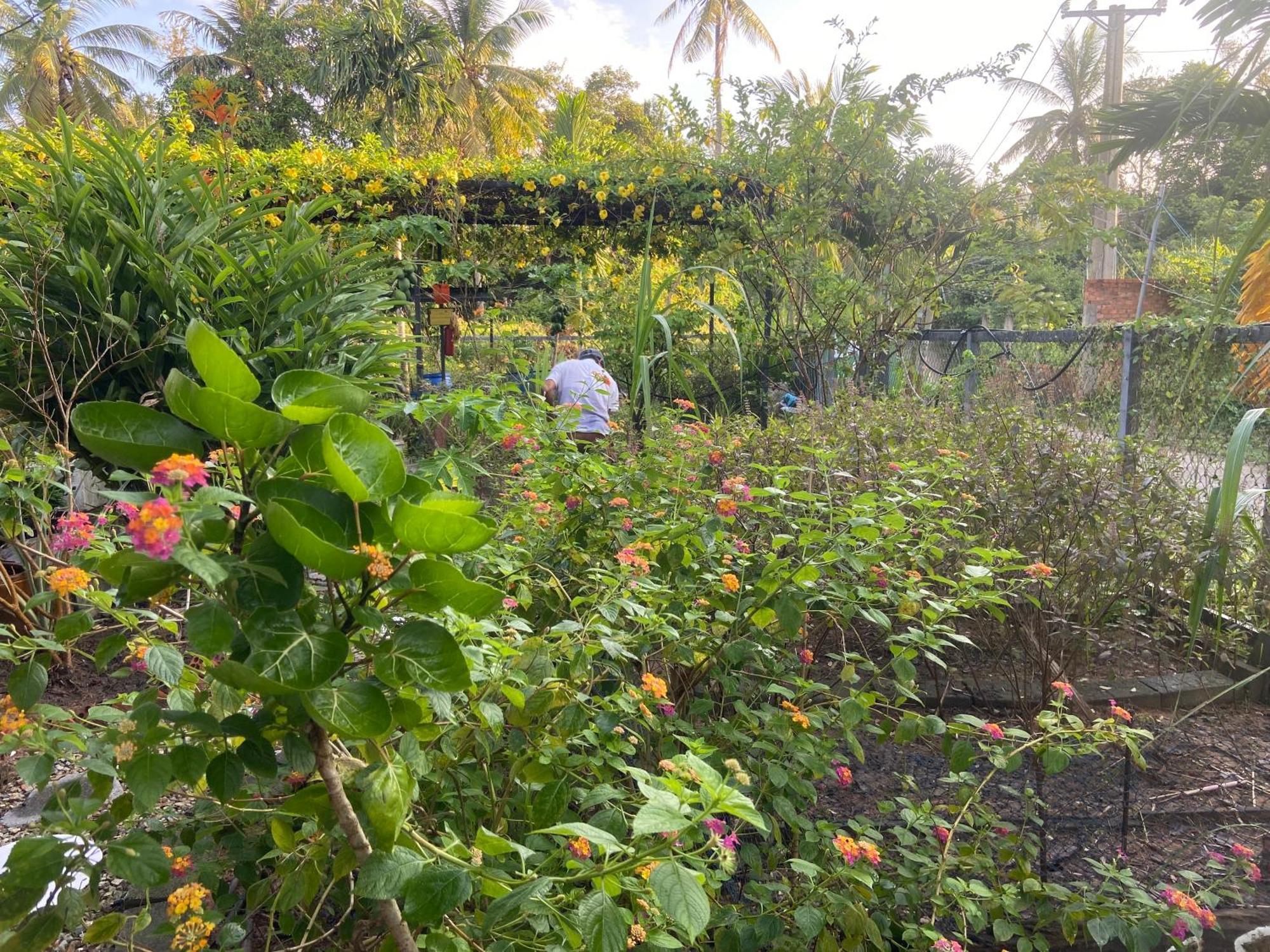 Lana Land Homestay Phú Quý Zewnętrze zdjęcie